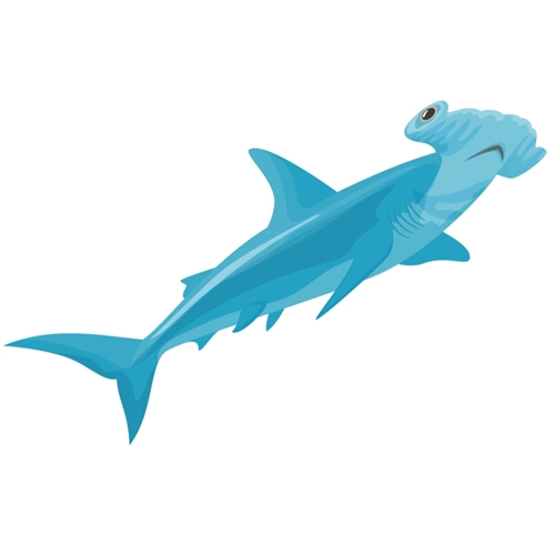 Under the Sea Theme Hammerhead Shark Transparent Sticker